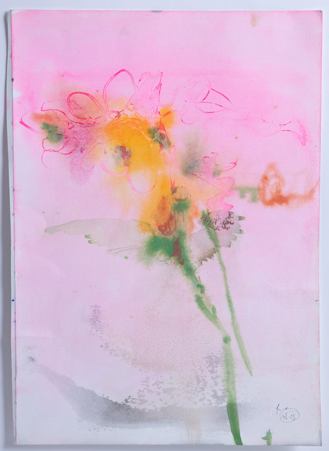 PINK BLURRY BEGONIAS