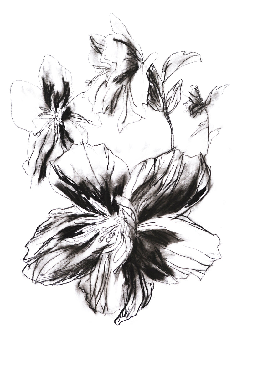 Hibiscus 5 SHOWstudio