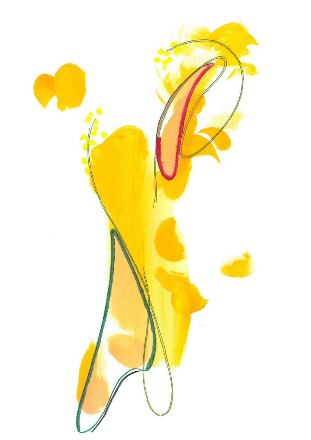 Golden Wattle