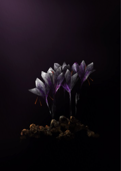 Saffron Petals
