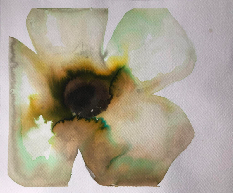Single Yellowish Anemone