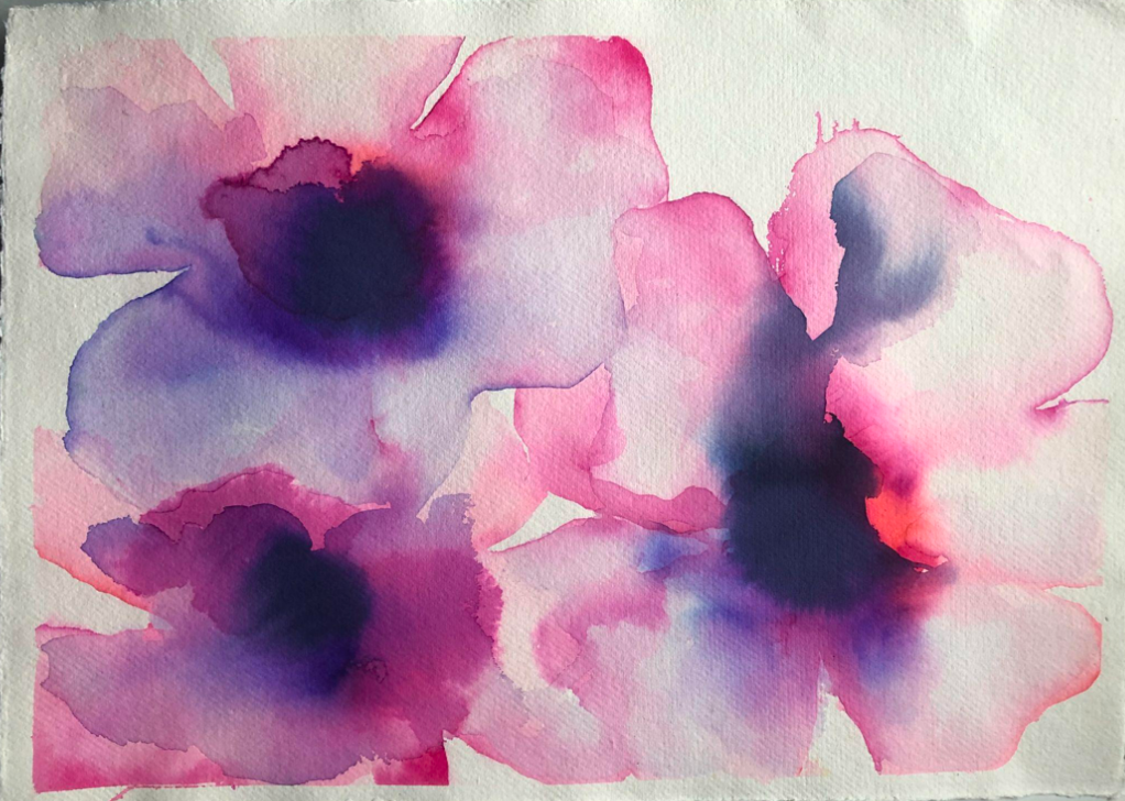 Deep Pink and Purple Anemones Multi