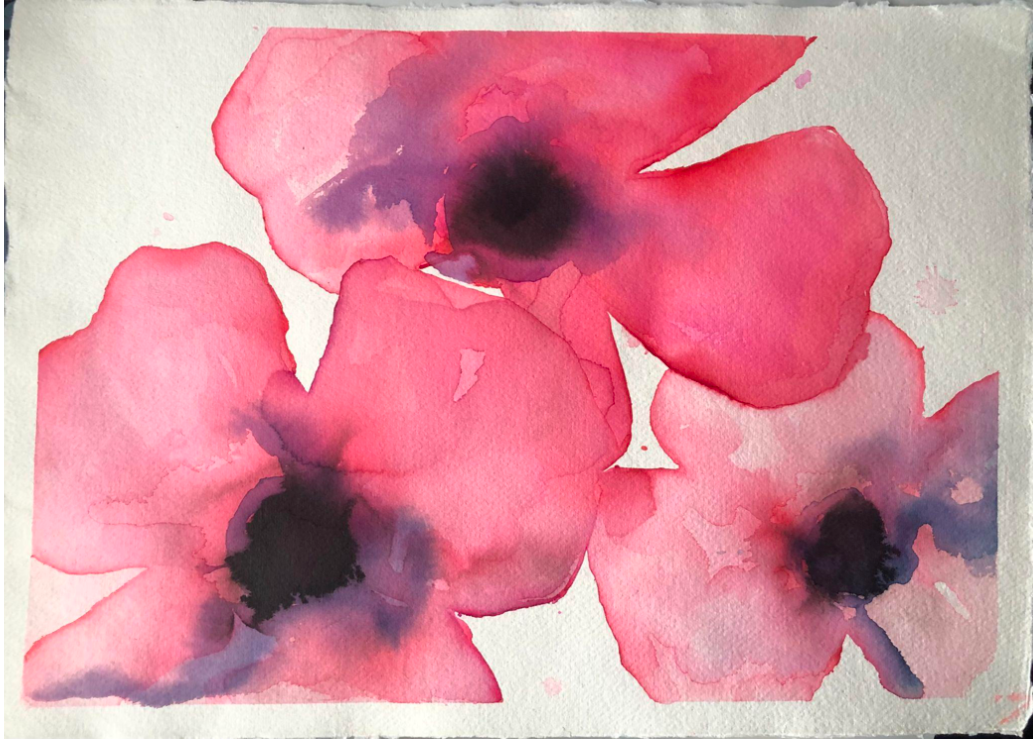 Deep Pink Anemones Multi