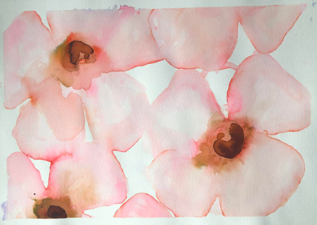 Deep Pink Anemones Multi
