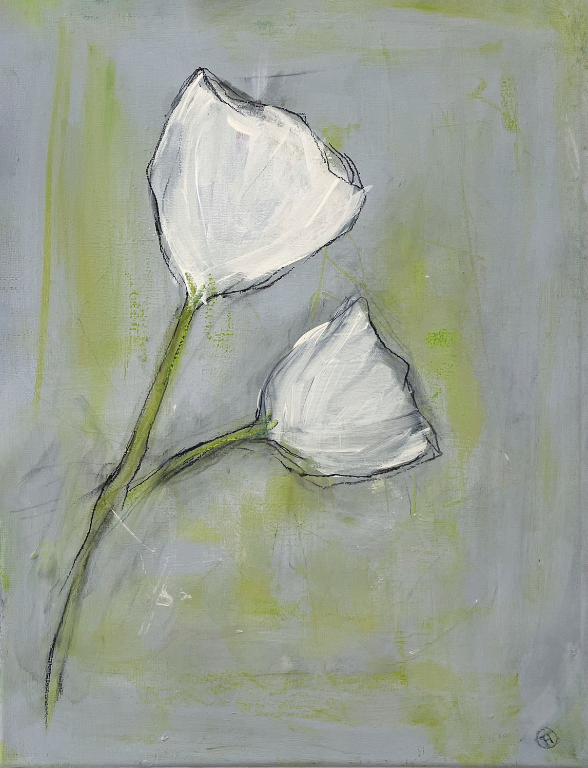 white tulips