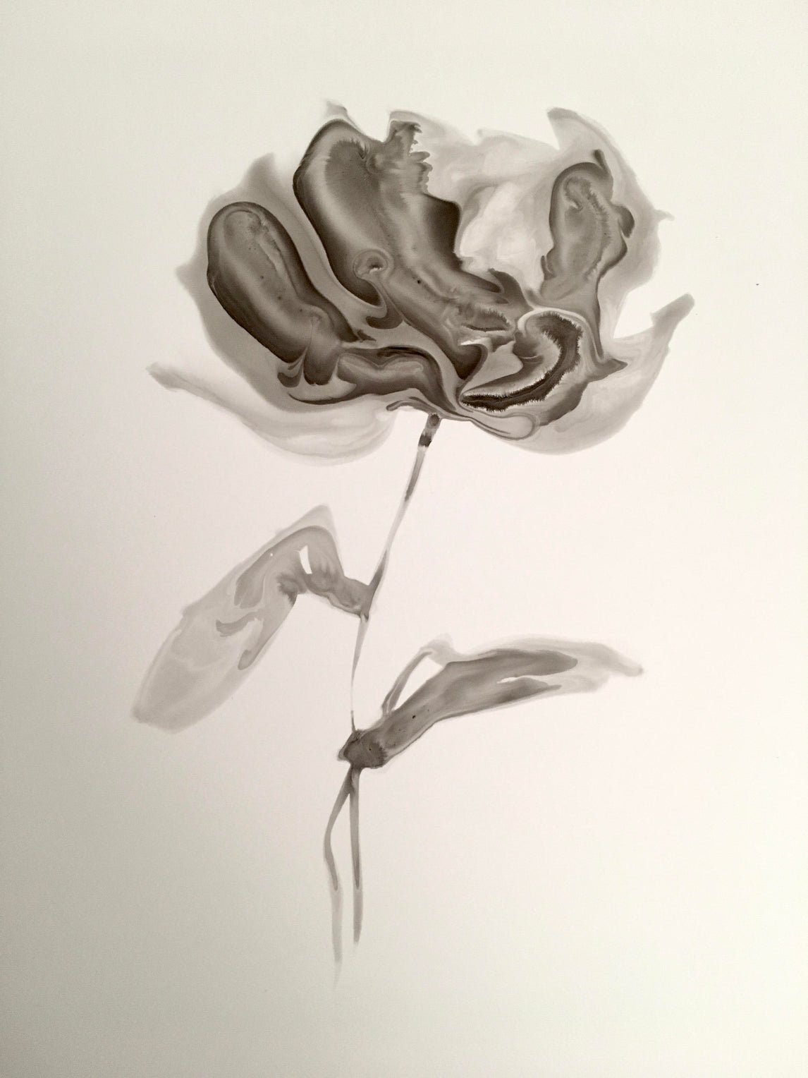 Flowers 4