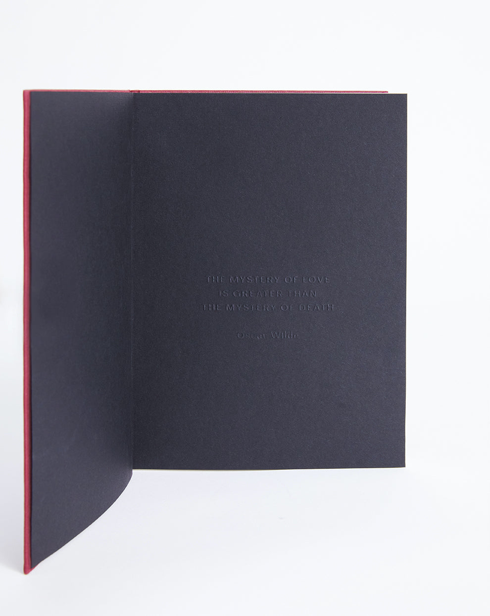 'Love Doesn't Win' Illustrated Poetry Book