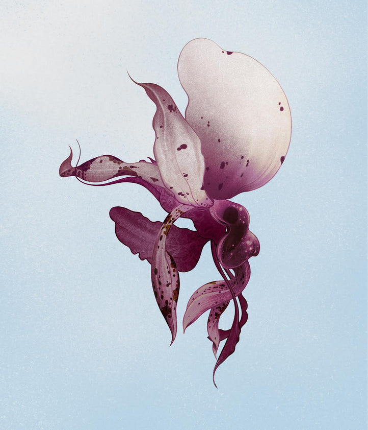 stanHOPEa no. 1
