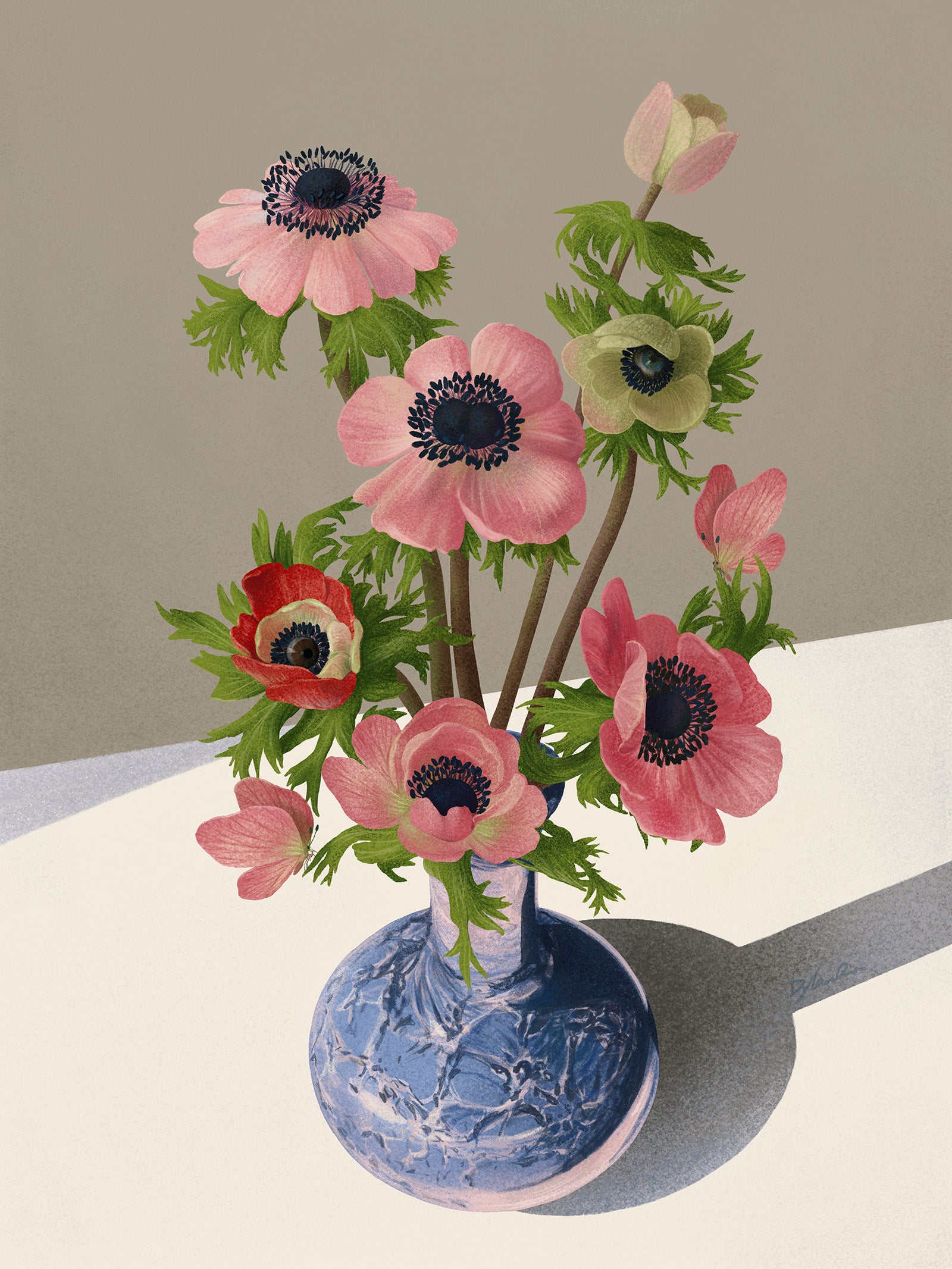 Anemones – SHOWstudio