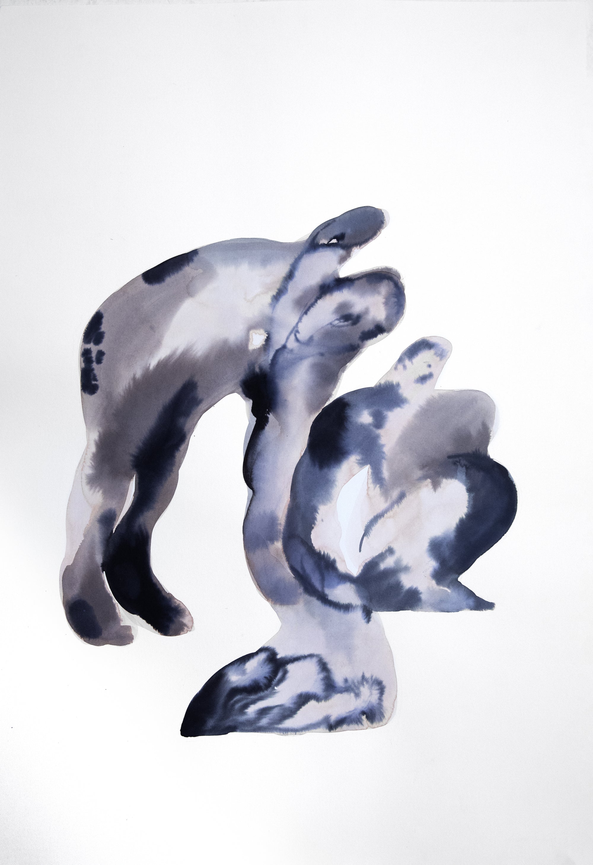 Untitled – SHOWstudio