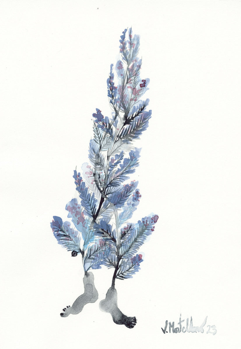 in Bloom II – SHOWstudio