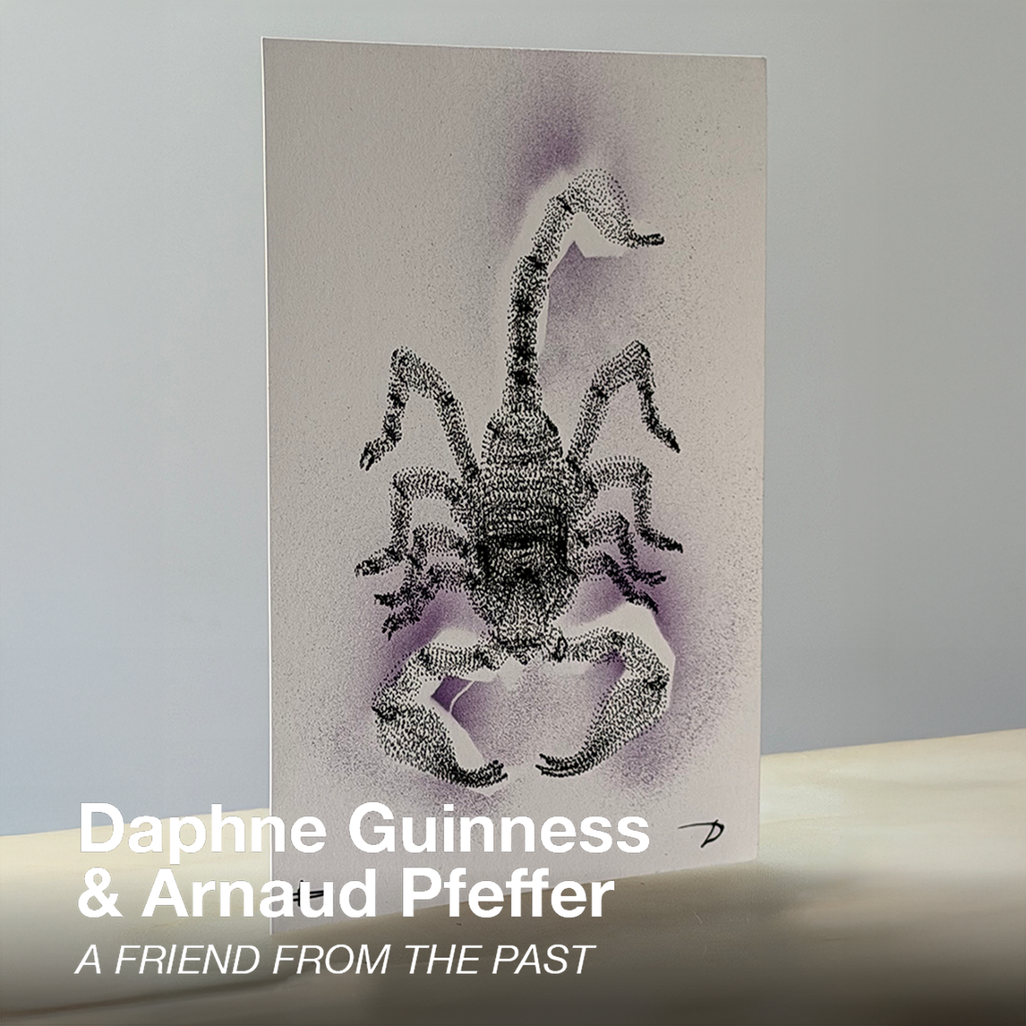 SHOWstudio 25th Anniversary Box Set