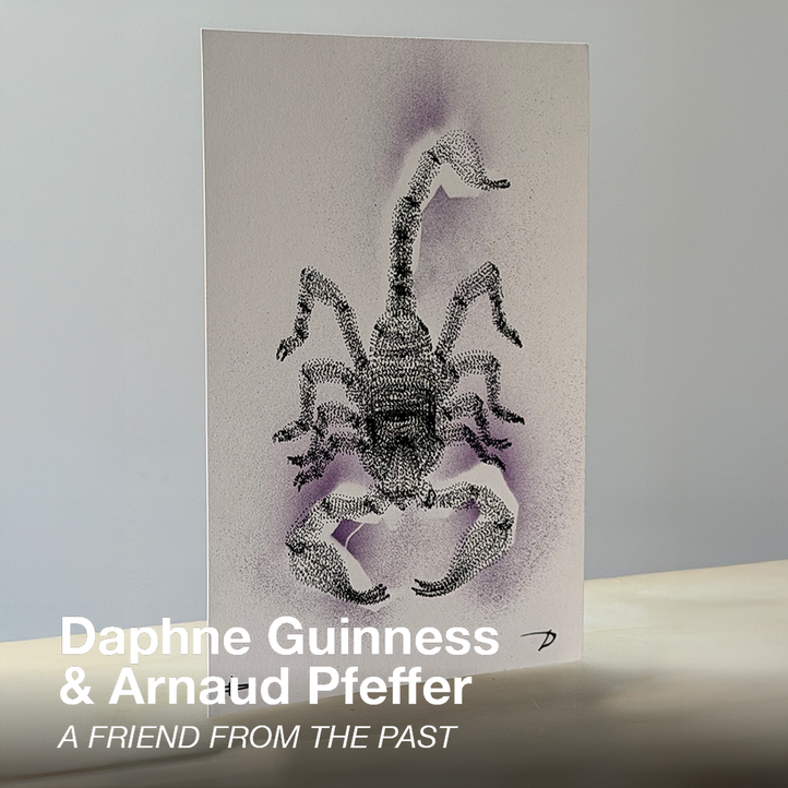 SHOWstudio 25th Anniversary Box Set