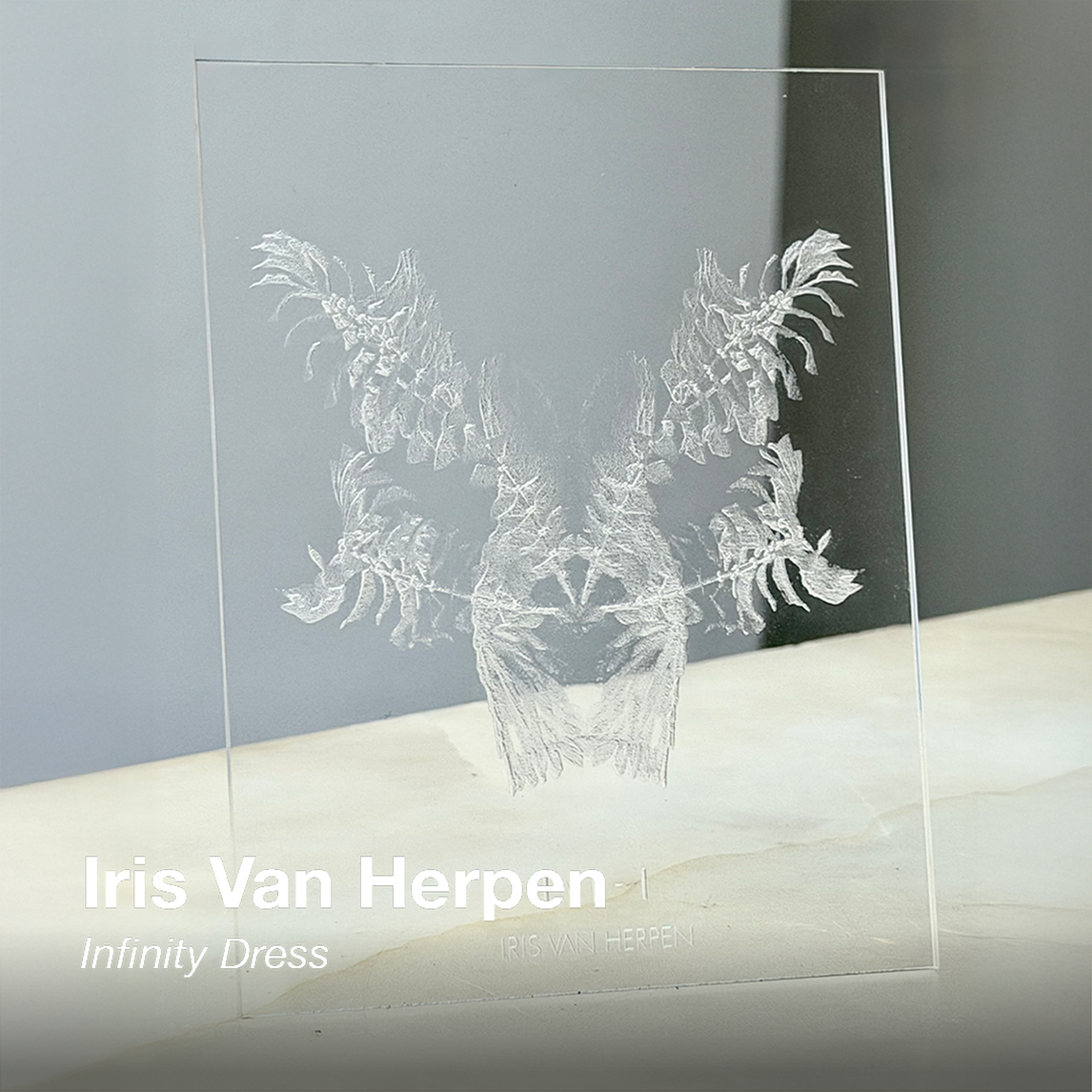 SHOWstudio 25th Anniversary Box Set