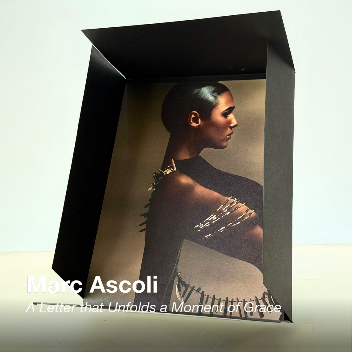 SHOWstudio 25th Anniversary Box Set