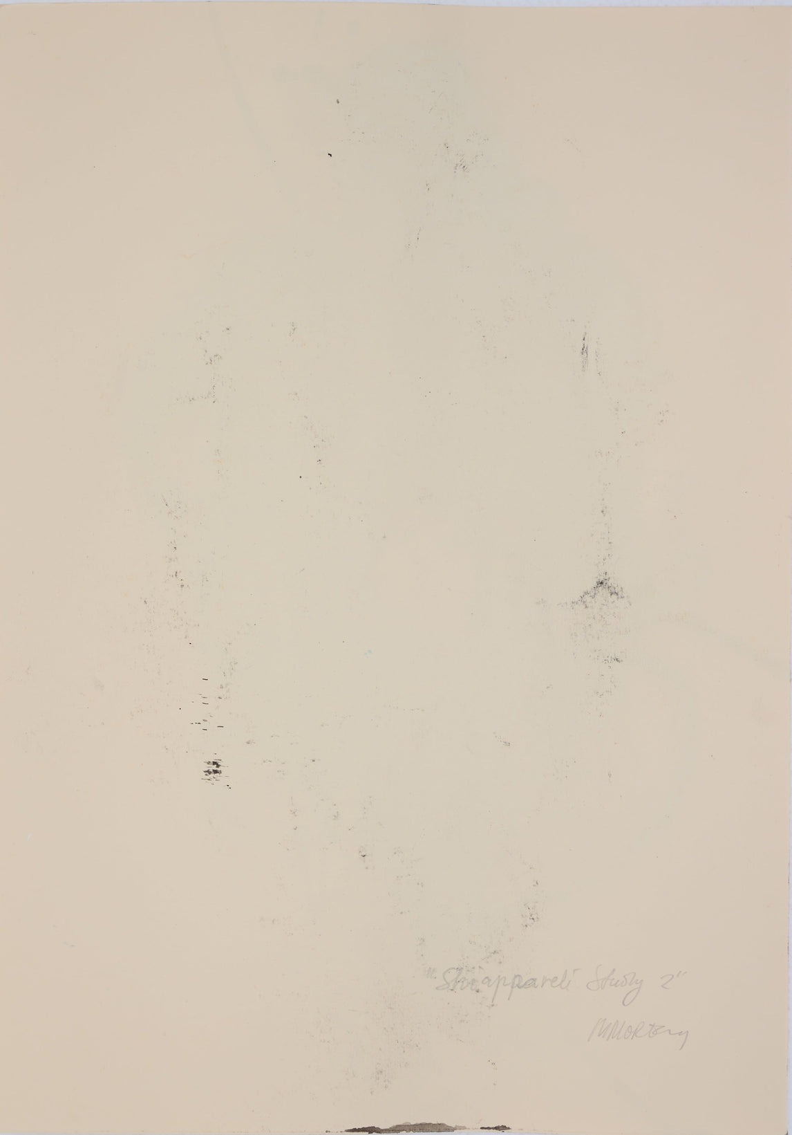 Schiapparelli Study 2