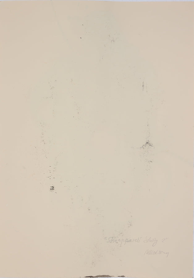 Schiapparelli Study 2