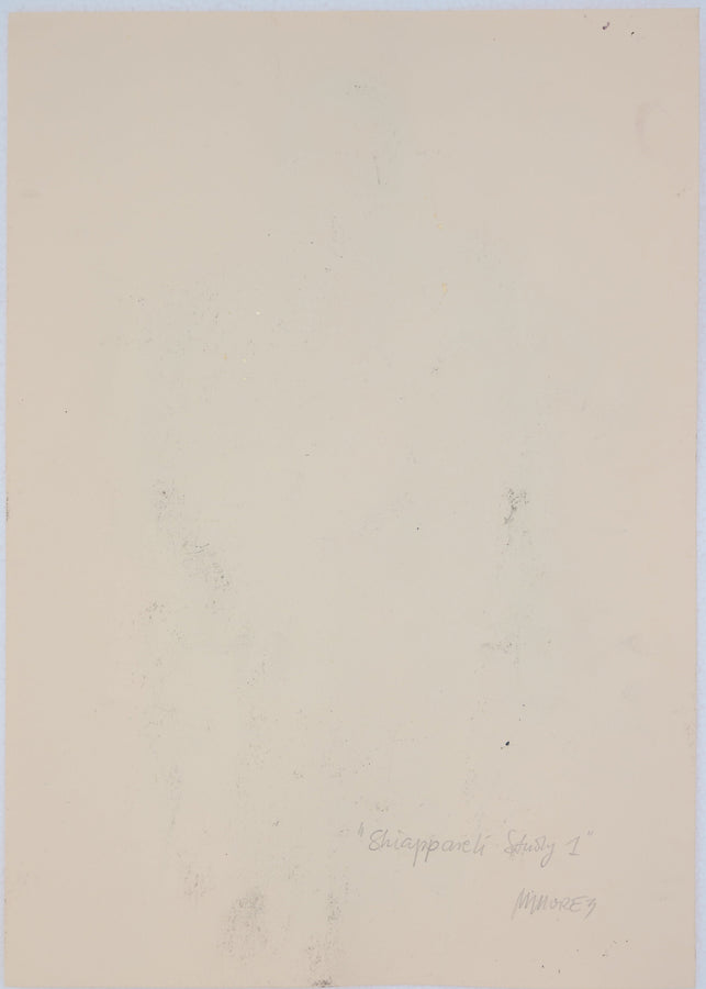 Schiapparelli Study 1