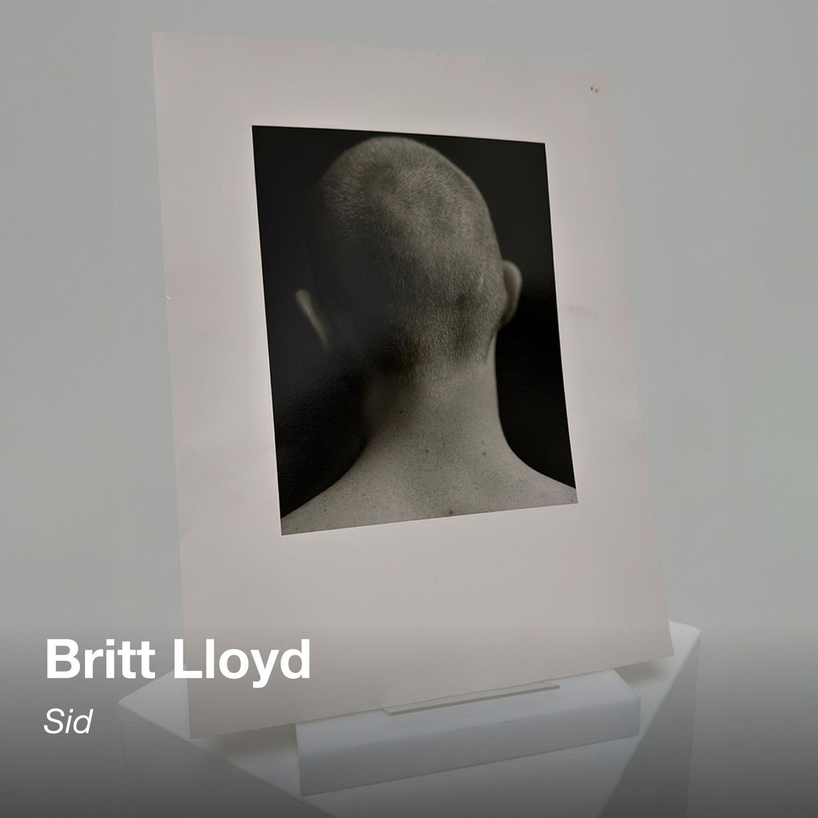 SHOWstudio 25th Anniversary Box Set