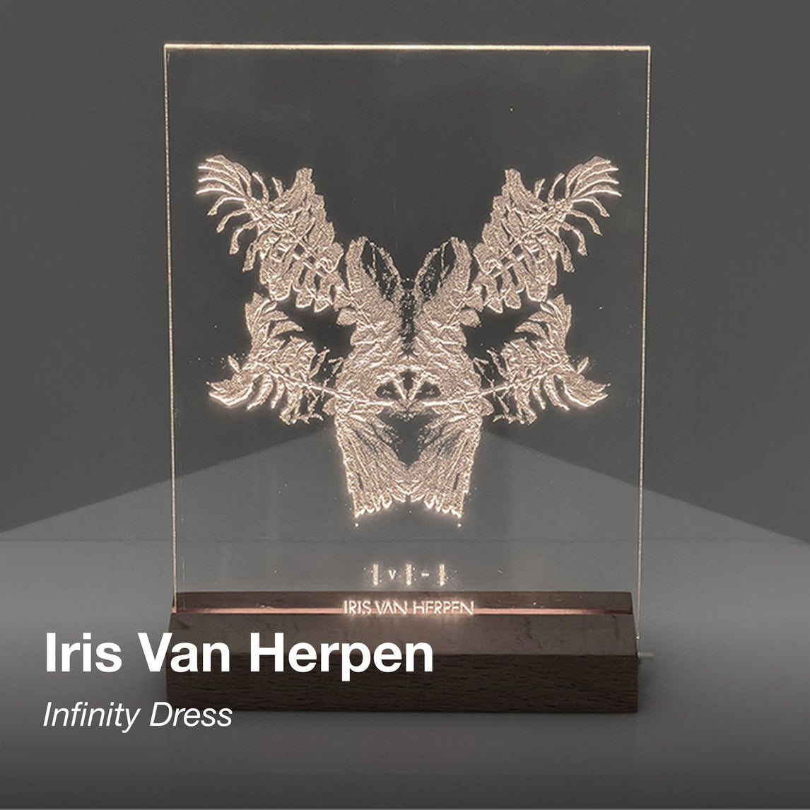 SHOWstudio 25th Anniversary Box Set