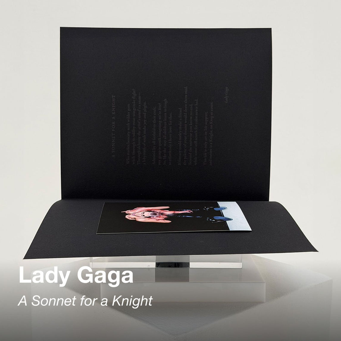 SHOWstudio 25th Anniversary Box Set