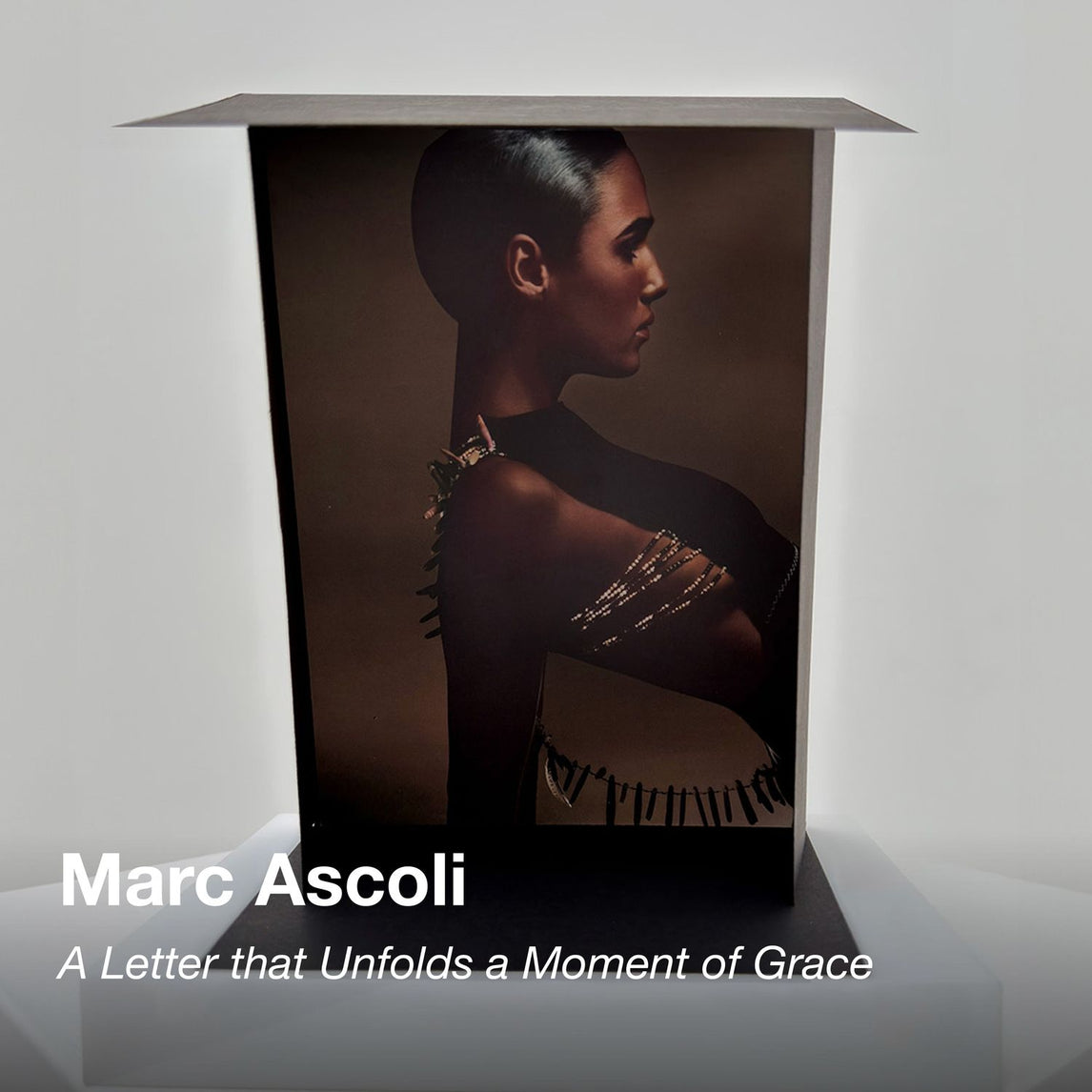 SHOWstudio 25th Anniversary Box Set