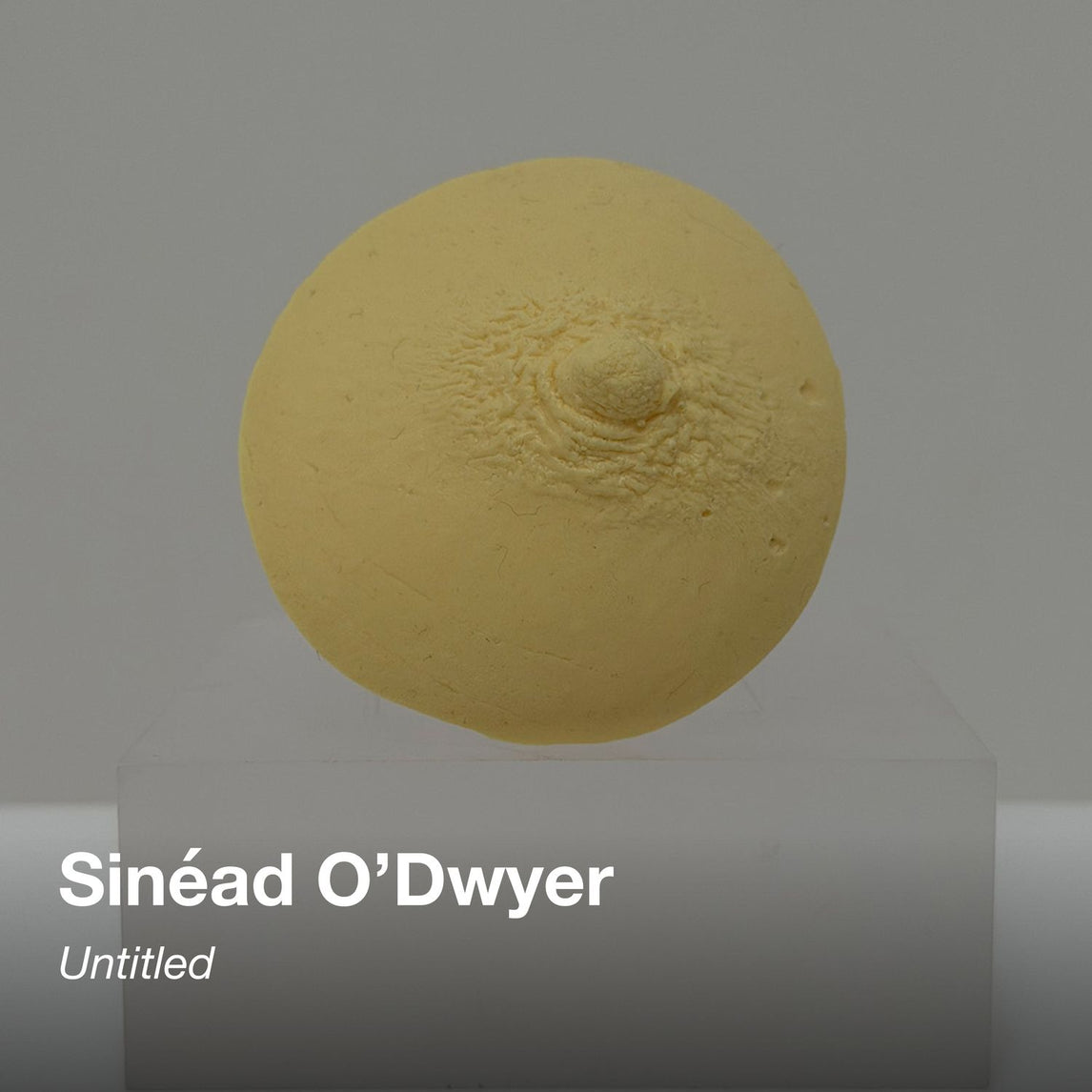 SHOWstudio 25th Anniversary Box Set