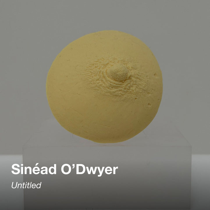 SHOWstudio 25th Anniversary Box Set