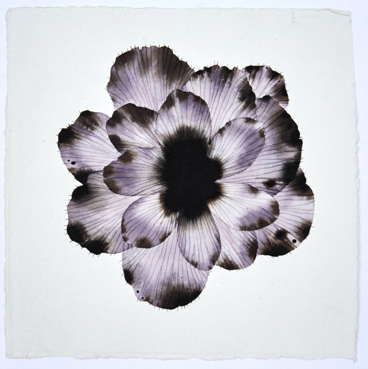 Fading Purple
