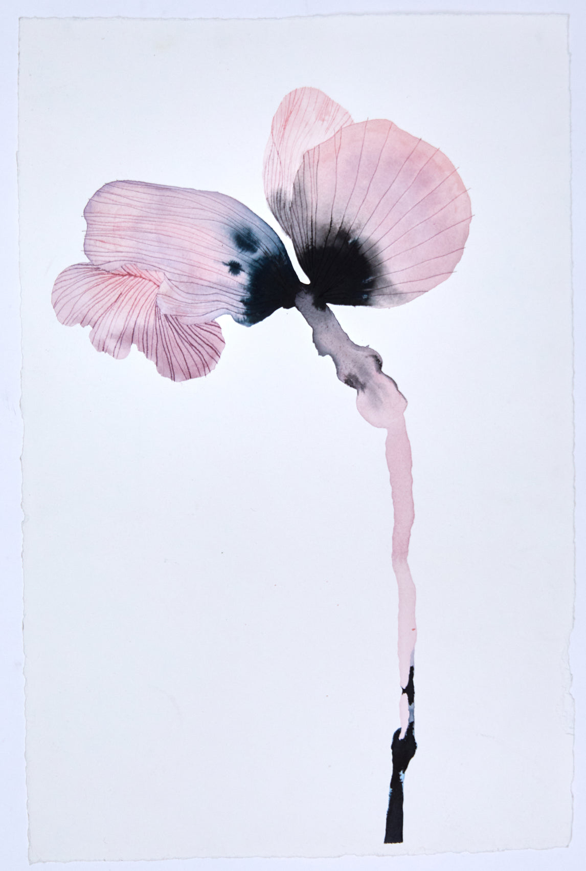 Stemmed Flower III