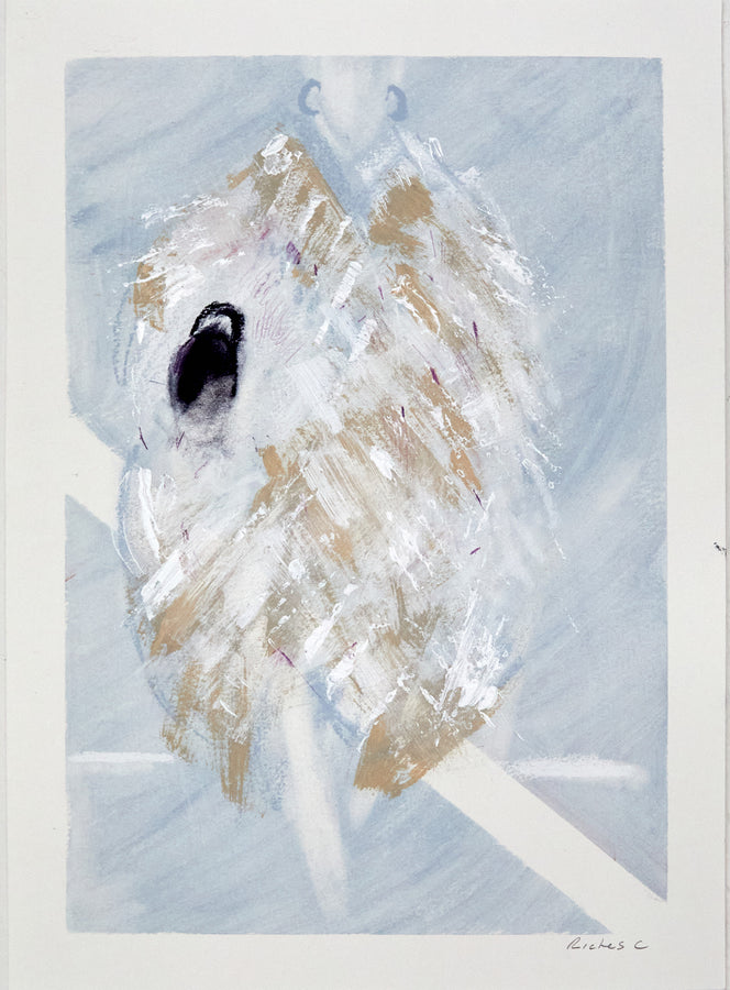 Alaia Show PFW S/S 26