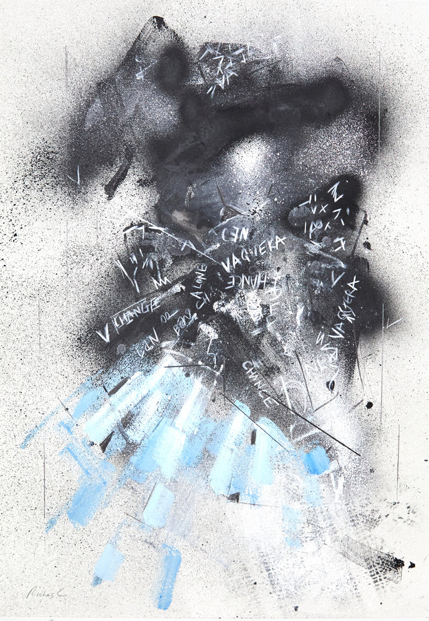 Vaquera Show PFW S/S 26