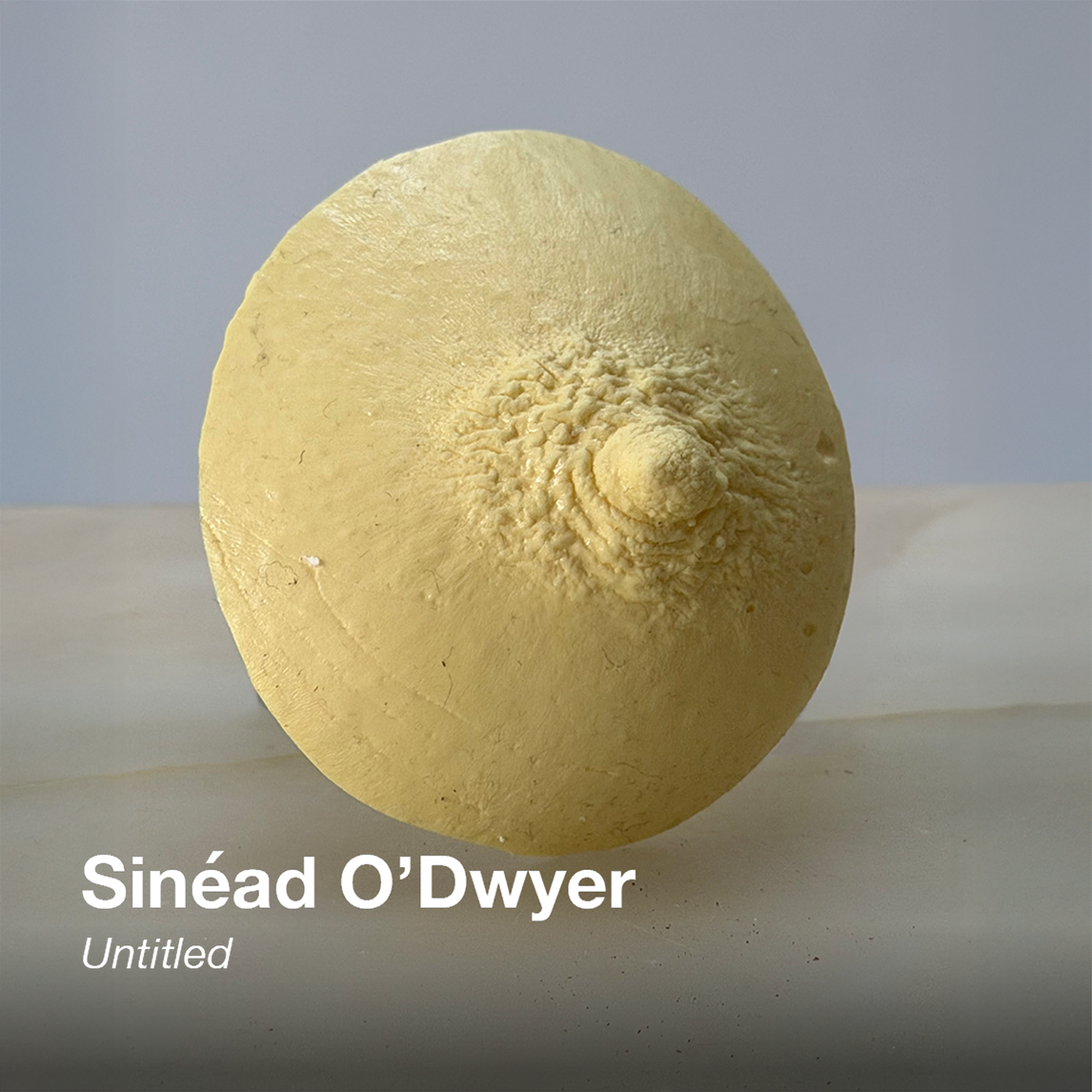 SHOWstudio 25th Anniversary Box Set