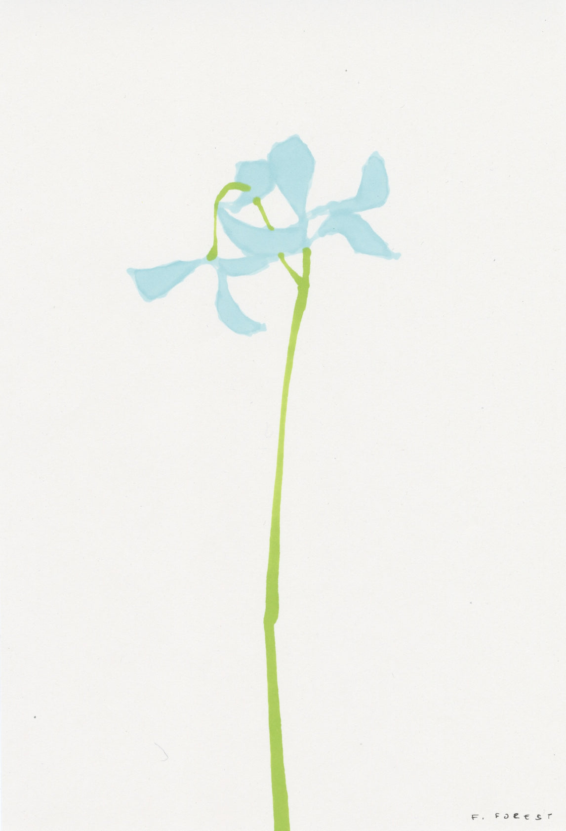 Flower 9
