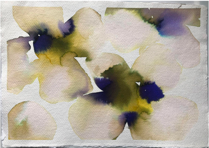Olive and Violet Pansies Multi