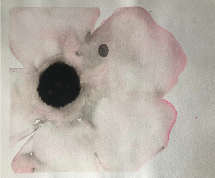 Single Pale Pink Anemone