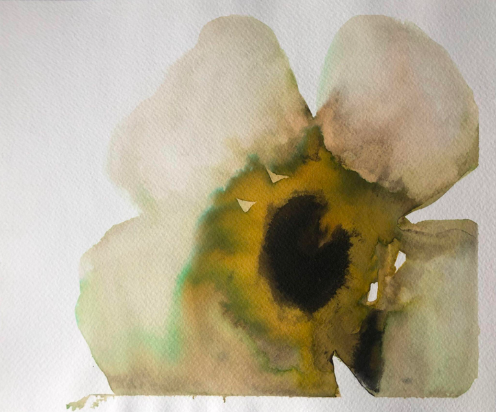 Single Greenish Anemone