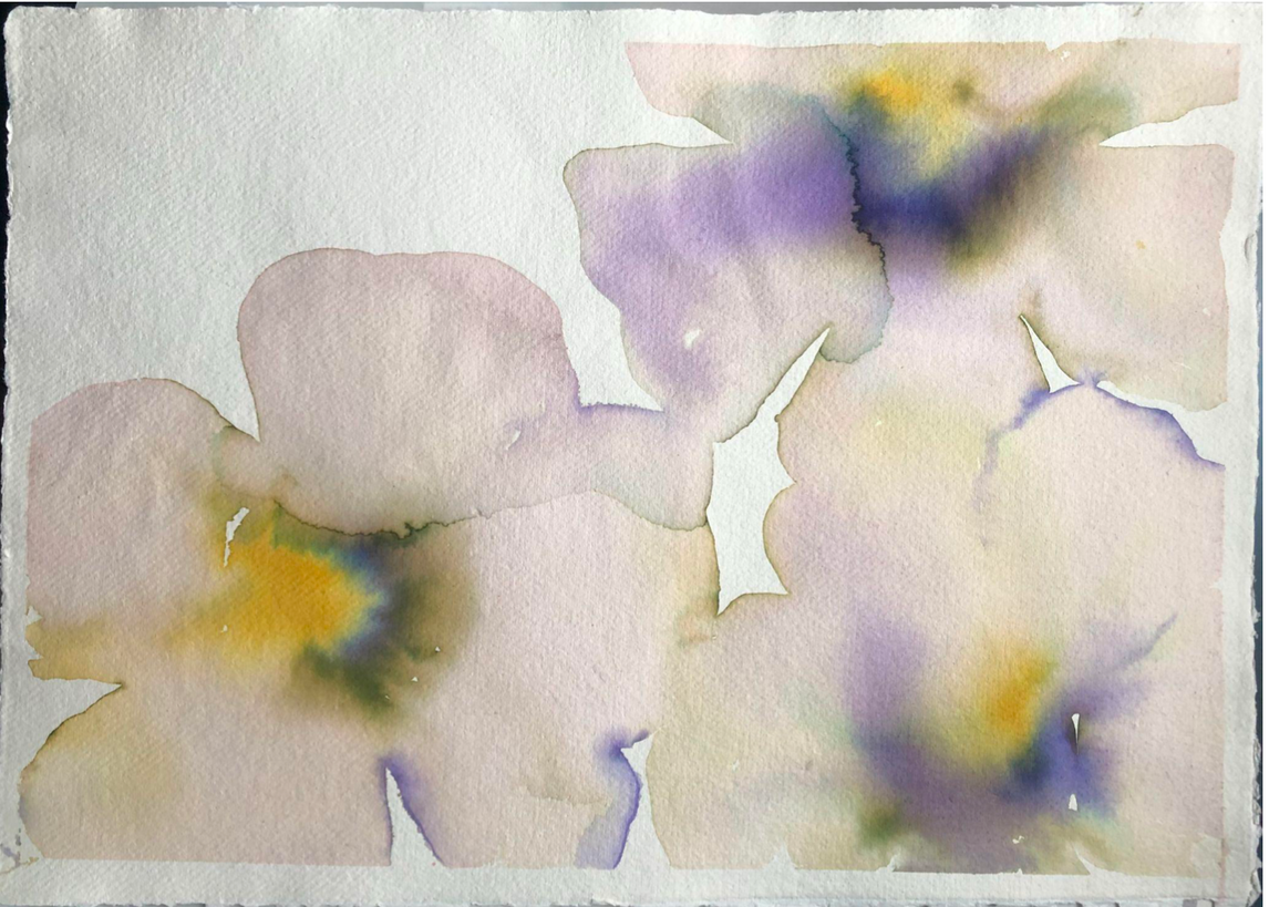 Violet Pansies Multi