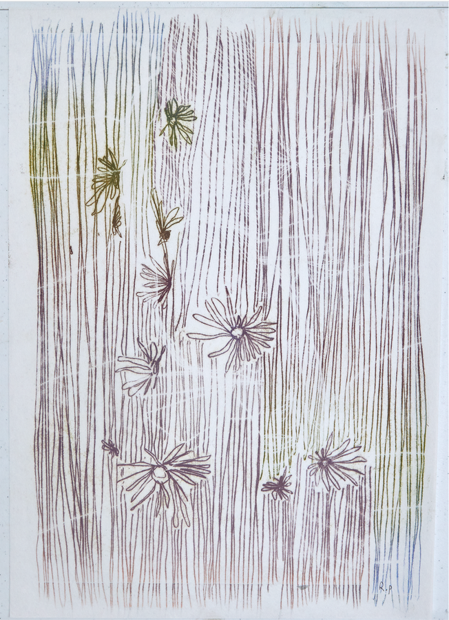 Study 9