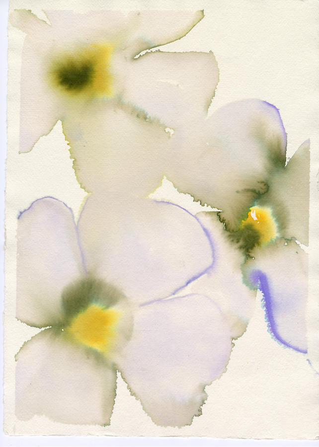 Olive and Violet Pansies Multi