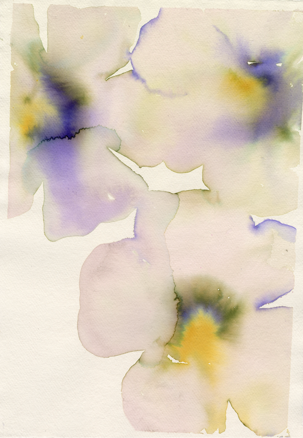 Violet Pansies Multi