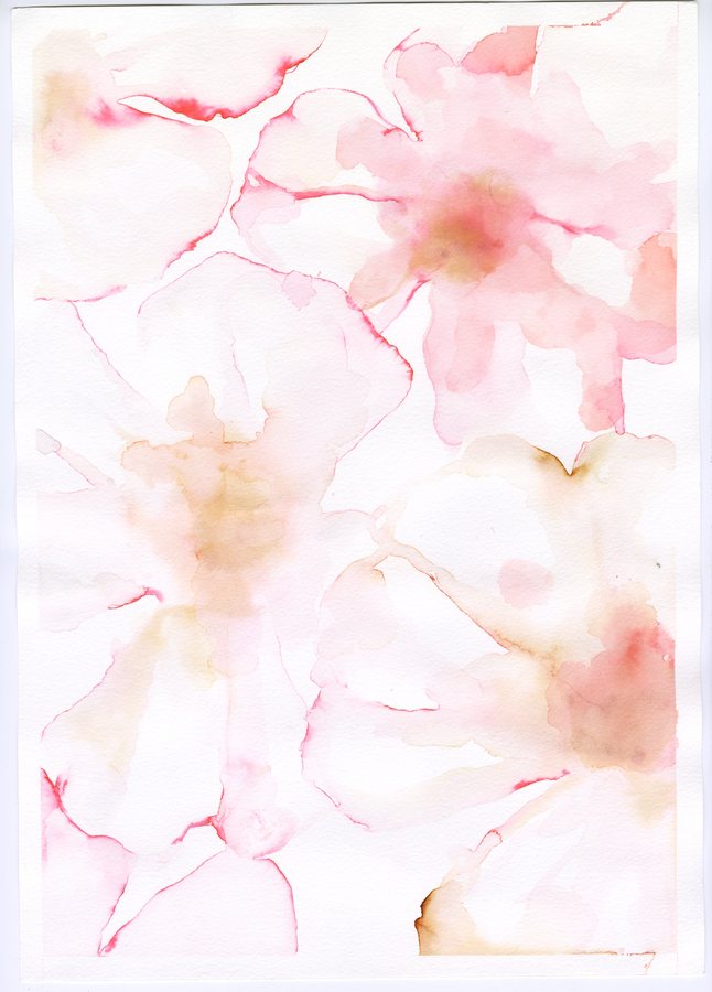 Washed out Coral Anemones Multi