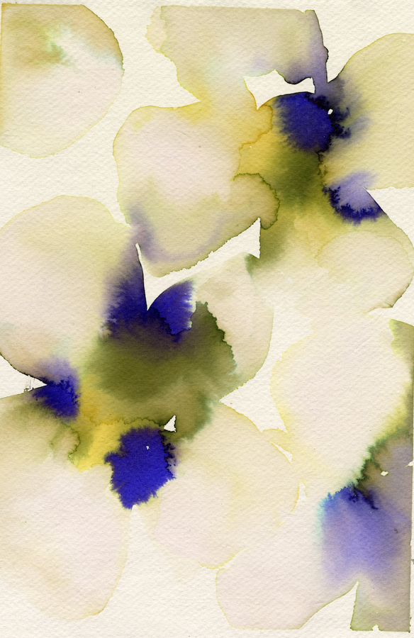 Olive and Violet Pansies Multi