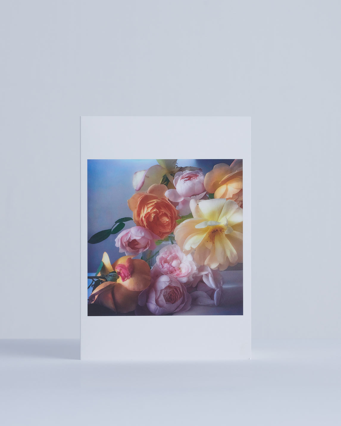 Nick Knight: Roses from my Garden Greetings Cards