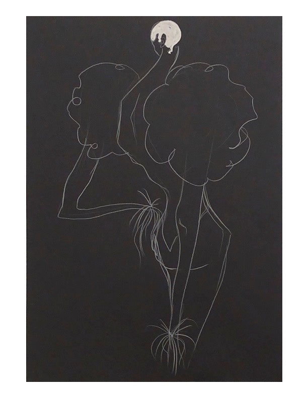 Daphne 17