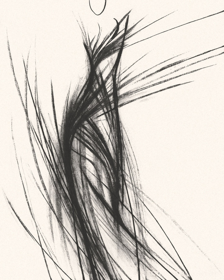 Carolina Herrera S/S 14 (Framed)